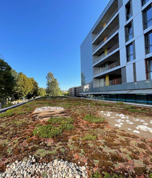 EPFL - Améliorations et entretien de toitures végétalisées