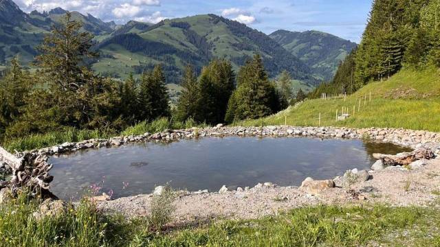 Etang agroécologique