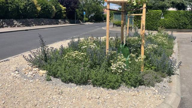 Canicule au jardin 