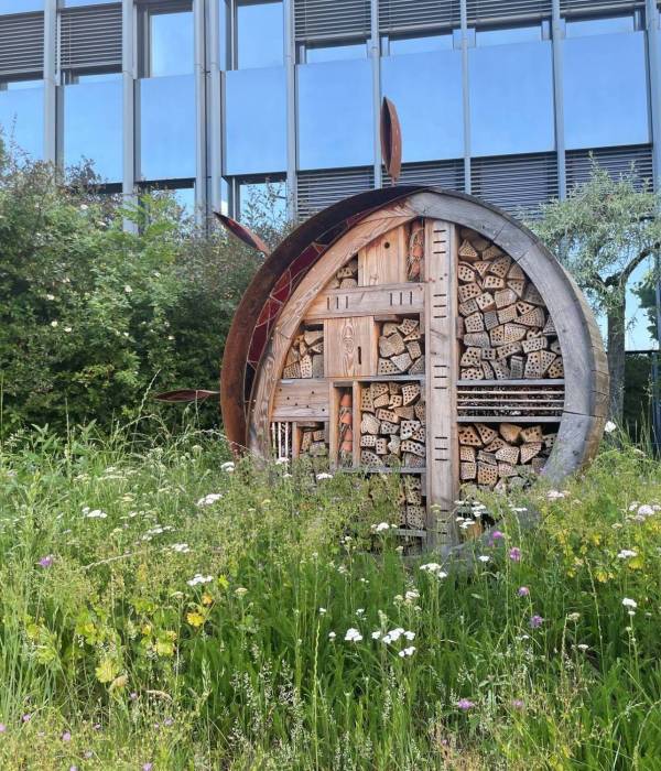 Romande Energie - Réaménagement des espaces verts du siège